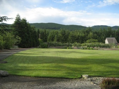 Field