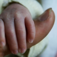 H1N1 and Pregnancy: Prevention and Vaccination 