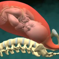 Birth of Baby (Vaginal Childbirth)